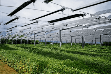 The role of artificial intelligence and internet of things (iot) in monitoring agrivoltaic systems for africa