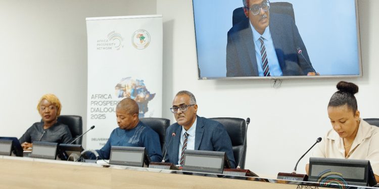 3,000 delegates, 7 African Heads of State to participate in APD 2025