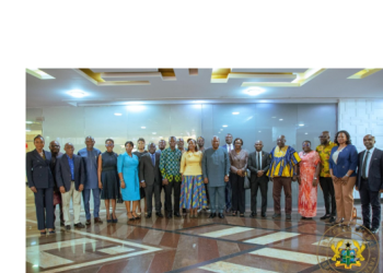 President receives members of IPR Executive Council