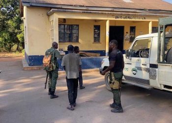 Three arrested for poaching in Mole Game Reserve