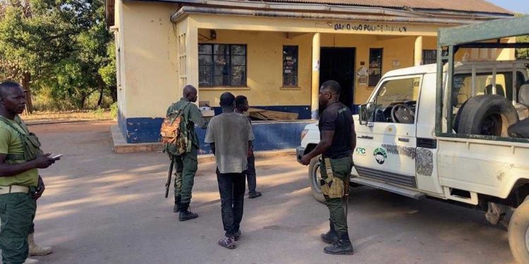 Three arrested for poaching in Mole Game Reserve