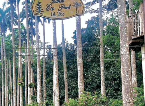 Accra Life: The essential list