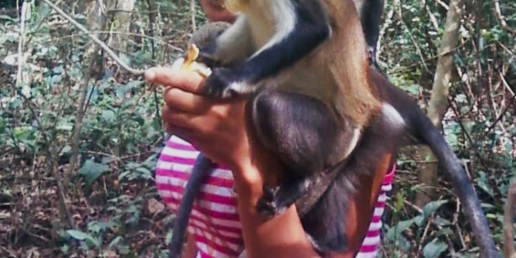 To the Volta, where great ‘Adventure Awaits’!