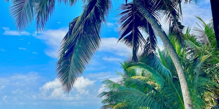 Delights of the Ahanta coast