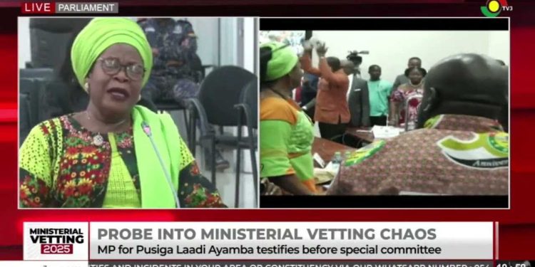 Probe into ministerial vetting chaos