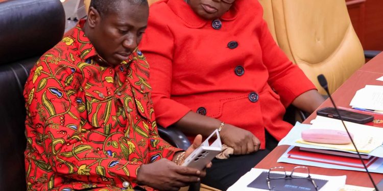 Minority boycotts vetting chaos committee, seeks Speaker’s intervention