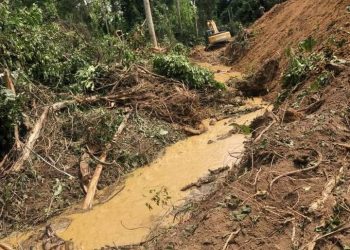 Journalist Challenges Lands Minister to Name Reclaimed Forest Reserves