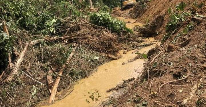 Journalist Challenges Lands Minister to Name Reclaimed Forest Reserves