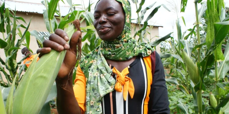 Ghana receives $2.8 Million crop insurance premium for farmers