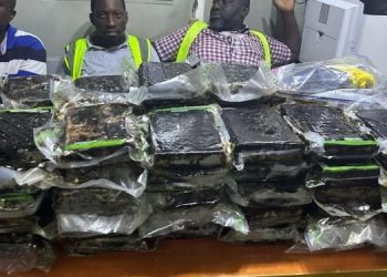 Major Drug Bust at Swiss Port: NACOC Grabs 73 Cocaine Slabs, Detains 4
