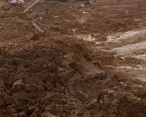 Erastus Exposes Gov’t Failure as Armed Thugs Mine Jimira Forest Unchecked